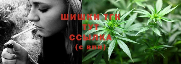 ПСИЛОЦИБИНОВЫЕ ГРИБЫ Балахна