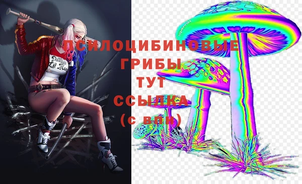 mix Белокуриха