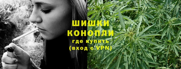 ПСИЛОЦИБИНОВЫЕ ГРИБЫ Балахна