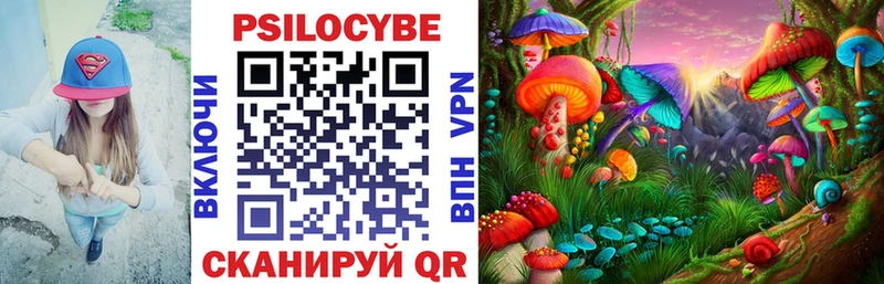 Псилоцибиновые грибы Cubensis  Обь 
