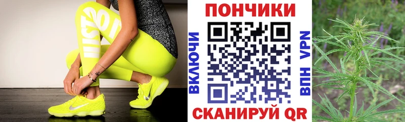 Конопля гибрид  Обь 